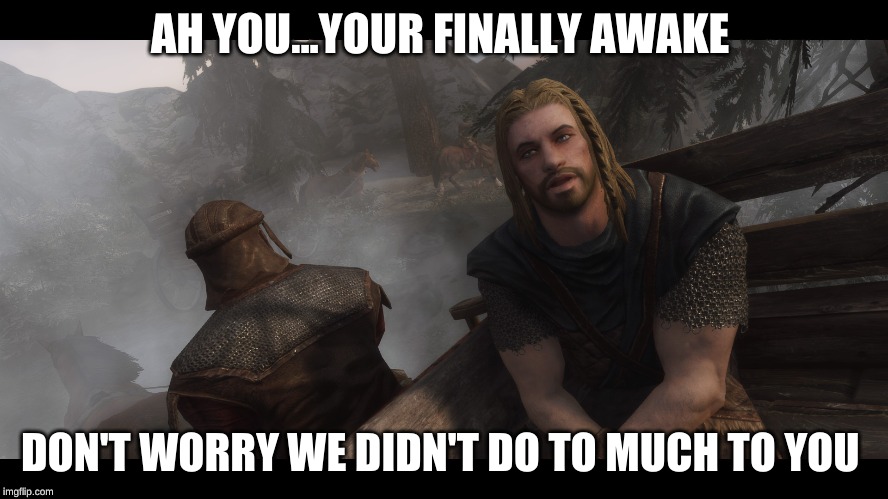 Skyrim you're finally awake | AH YOU...YOUR FINALLY AWAKE; DON'T WORRY WE DIDN'T DO TO MUCH TO YOU | image tagged in skyrim you're finally awake | made w/ Imgflip meme maker