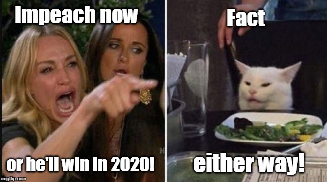 Impeach Now! | Impeach now; Fact; either way! or he'll win in 2020! | image tagged in woman yelling at cat,political meme,funny memes,impeach trump,impeachment,stupid liberals | made w/ Imgflip meme maker