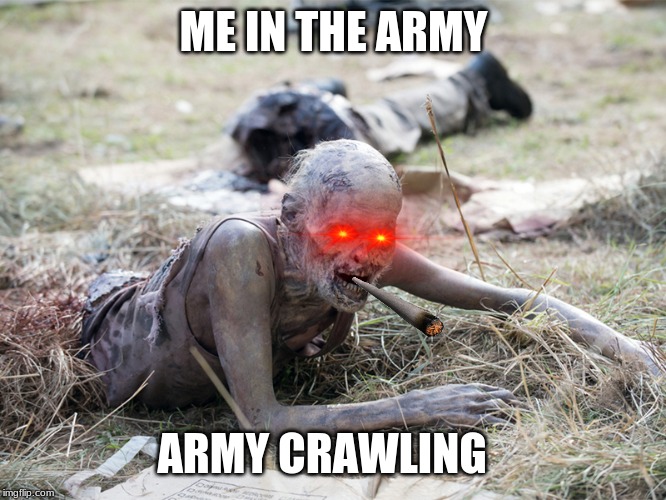 The Walking Dead Crawling Zombie | ME IN THE ARMY; ARMY CRAWLING | image tagged in the walking dead crawling zombie | made w/ Imgflip meme maker