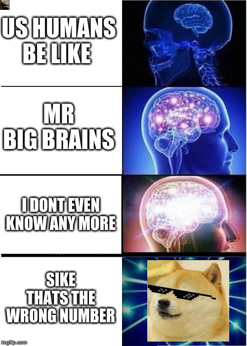 Expanding Brain | US HUMANS BE LIKE; MR BIG BRAINS; I DONT EVEN KNOW ANY MORE; SIKE THATS THE WRONG NUMBER | image tagged in memes,expanding brain | made w/ Imgflip meme maker