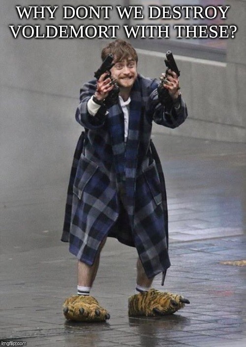 Harry Potter Guns | WHY DONT WE DESTROY VOLDEMORT WITH THESE? | image tagged in harry potter guns | made w/ Imgflip meme maker