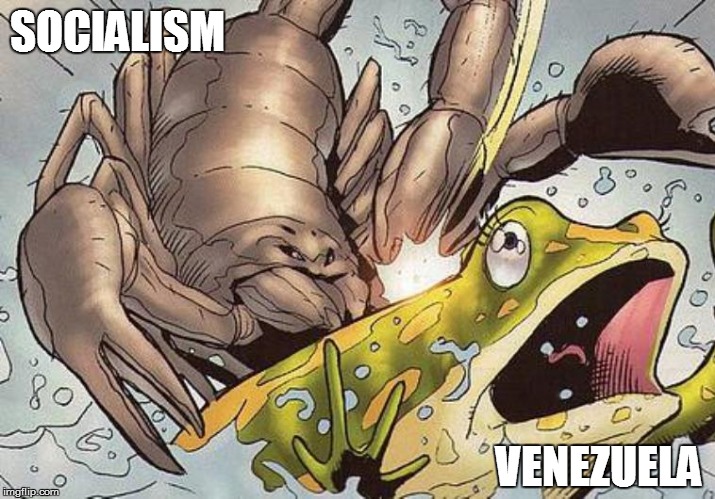 The Scorpion & The Frog | SOCIALISM; VENEZUELA | image tagged in political memes,socialism,venezuela,democratic socialism,social justice,social justice warriors | made w/ Imgflip meme maker