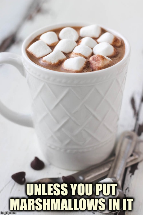 Hot chocolate | UNLESS YOU PUT MARSHMALLOWS IN IT | image tagged in hot chocolate | made w/ Imgflip meme maker