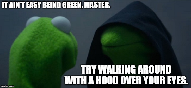 Evil Kermit | IT AIN'T EASY BEING GREEN, MASTER. TRY WALKING AROUND WITH A HOOD OVER YOUR EYES. | image tagged in memes,evil kermit | made w/ Imgflip meme maker