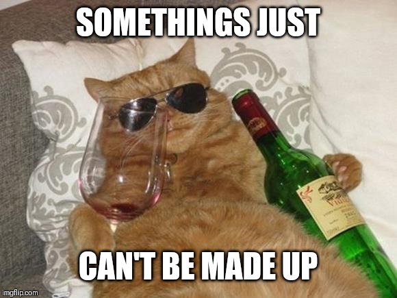 Jroc113 | SOMETHINGS JUST; CAN'T BE MADE UP | image tagged in funny cat birthday | made w/ Imgflip meme maker
