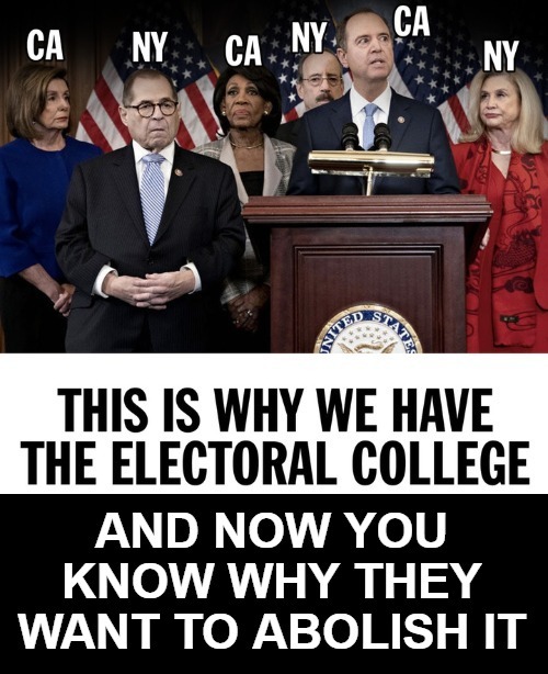 This is Why We Have The Electoral College | image tagged in adam schiff,nancy pelosi,jerry nadler,maxine waters,hillary clinton,government corruption | made w/ Imgflip meme maker