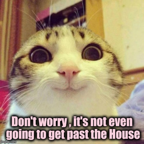 Smiling Cat Meme | Don't worry , it's not even
 going to get past the House | image tagged in memes,smiling cat | made w/ Imgflip meme maker