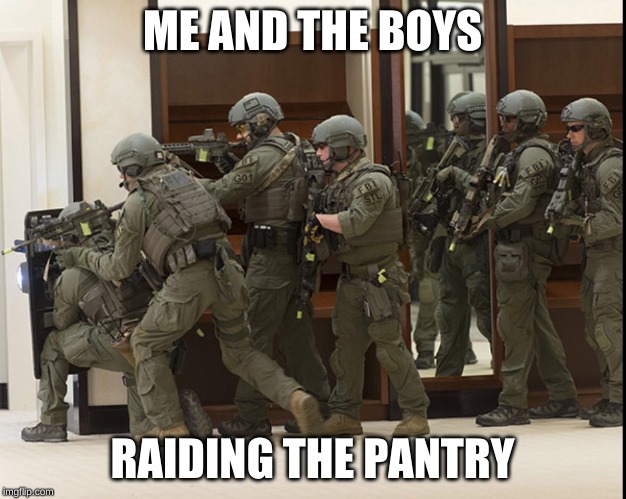 FBI SWAT | ME AND THE BOYS; RAIDING THE PANTRY | image tagged in fbi swat | made w/ Imgflip meme maker