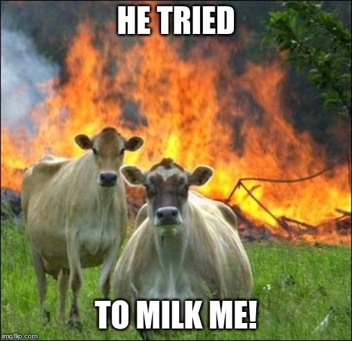 Evil Cows | HE TRIED; TO MILK ME! | image tagged in memes,evil cows | made w/ Imgflip meme maker