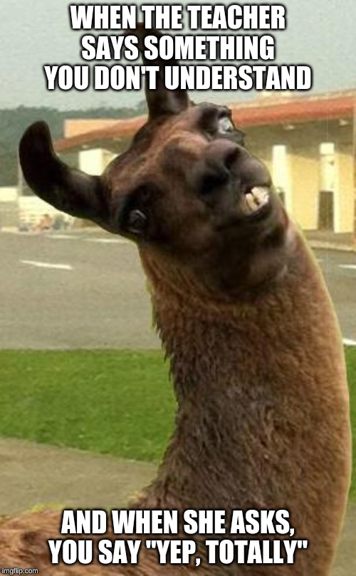 llama | WHEN THE TEACHER SAYS SOMETHING YOU DON'T UNDERSTAND; AND WHEN SHE ASKS, YOU SAY "YEP, TOTALLY" | image tagged in llama | made w/ Imgflip meme maker