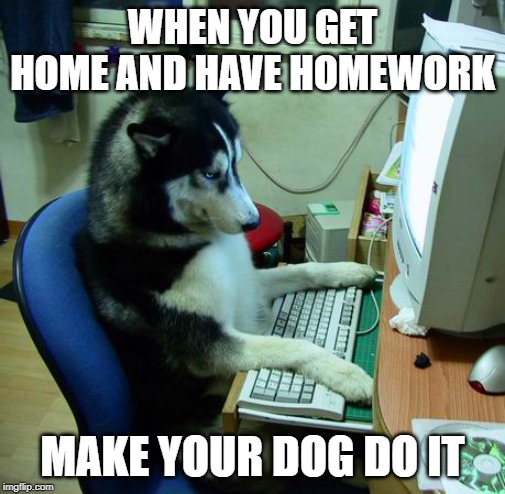 I Have No Idea What I Am Doing Meme | WHEN YOU GET HOME AND HAVE HOMEWORK; MAKE YOUR DOG DO IT | image tagged in memes,i have no idea what i am doing | made w/ Imgflip meme maker