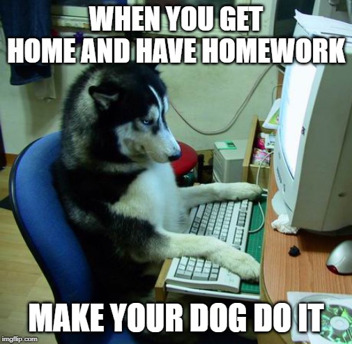 I Have No Idea What I Am Doing | WHEN YOU GET HOME AND HAVE HOMEWORK; MAKE YOUR DOG DO IT | image tagged in memes,i have no idea what i am doing | made w/ Imgflip meme maker