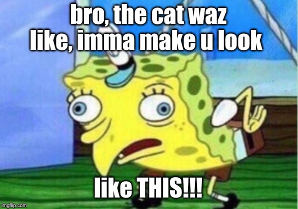 bro, the cat waz like, imma make u look like THIS!!! | image tagged in memes,mocking spongebob | made w/ Imgflip meme maker