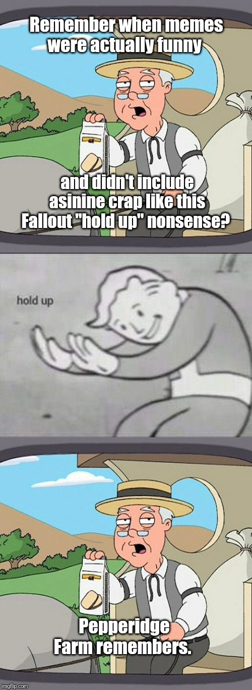 This is why we can't have nice things | Remember when memes were actually funny; and didn't include asinine crap like this Fallout "hold up" nonsense? Pepperidge Farm remembers. | image tagged in memes,pepperidge farm remembers,fallout hold up | made w/ Imgflip meme maker