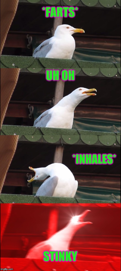 Inhaling Seagull Meme |  *FARTS*; UH OH; *INHALES*; STINKY | image tagged in memes,inhaling seagull | made w/ Imgflip meme maker