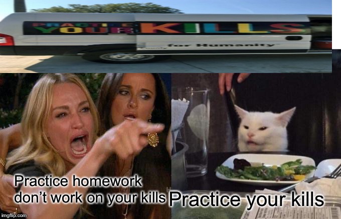 Woman Yelling At Cat | Practice homework don’t work on your kills; Practice your kills | image tagged in memes,woman yelling at cat | made w/ Imgflip meme maker
