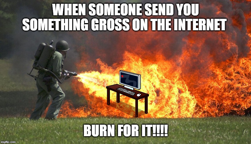 WHEN SOMEONE SEND YOU SOMETHING GROSS ON THE INTERNET; BURN FOR IT!!!! | image tagged in gross,burn,internet | made w/ Imgflip meme maker