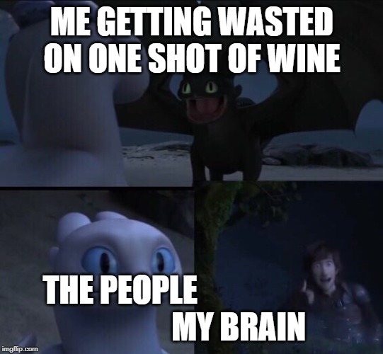 How to train your dragon 3 | ME GETTING WASTED ON ONE SHOT OF WINE; THE PEOPLE                                                MY BRAIN | image tagged in how to train your dragon 3 | made w/ Imgflip meme maker