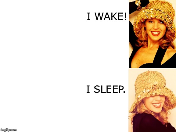 High Quality Kylie I wake/I sleep Blank Meme Template