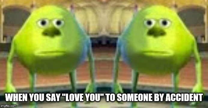 WHEN YOU SAY "LOVE YOU" TO SOMEONE BY ACCIDENT | image tagged in sully wazowski | made w/ Imgflip meme maker