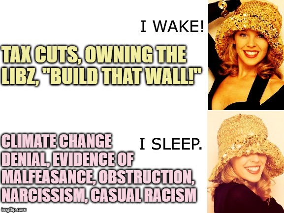 New custom template! More Kylie stylin' on Trump | TAX CUTS, OWNING THE LIBZ, "BUILD THAT WALL!"; CLIMATE CHANGE DENIAL, EVIDENCE OF MALFEASANCE, OBSTRUCTION, NARCISSISM, CASUAL RACISM | image tagged in kylie i wake/i sleep,donald trump,trump,build that wall,climate change,obstruction of justice | made w/ Imgflip meme maker