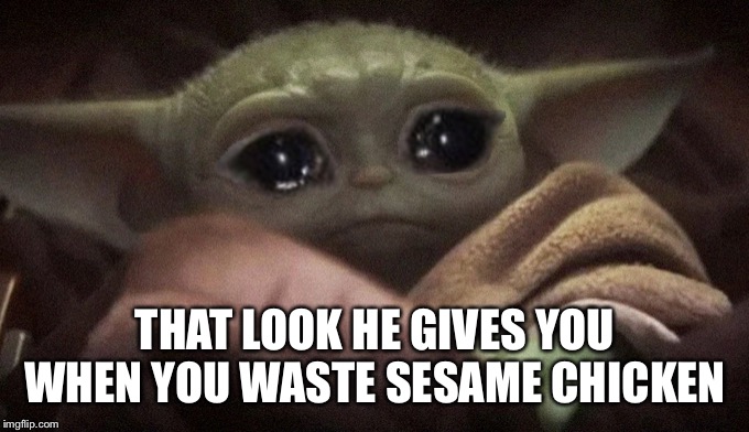 Crying Baby Yoda | THAT LOOK HE GIVES YOU WHEN YOU WASTE SESAME CHICKEN | image tagged in crying baby yoda | made w/ Imgflip meme maker