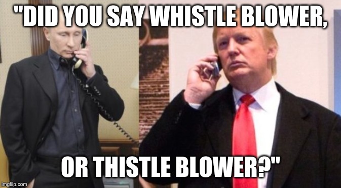 Trump Putin phone call | "DID YOU SAY WHISTLE BLOWER, OR THISTLE BLOWER?" | image tagged in trump putin phone call | made w/ Imgflip meme maker