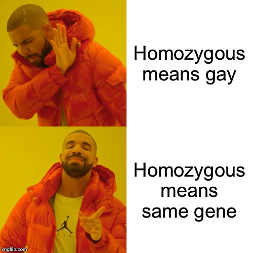 Drake Hotline Bling | Homozygous means gay; Homozygous means same gene | image tagged in memes,drake hotline bling | made w/ Imgflip meme maker