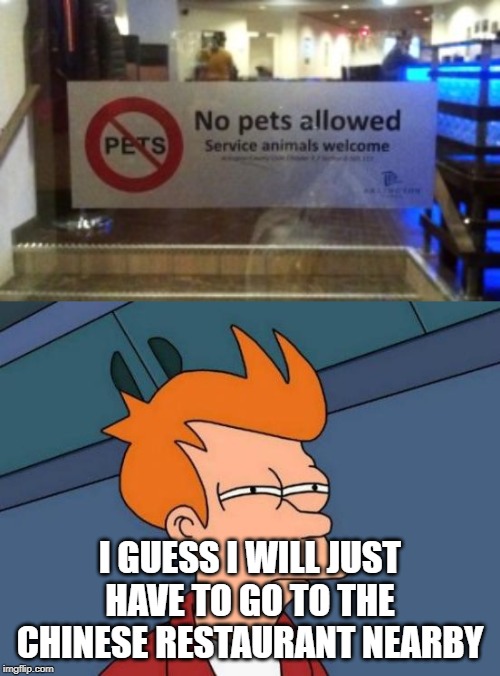 No dogs aloud | I GUESS I WILL JUST HAVE TO GO TO THE CHINESE RESTAURANT NEARBY | image tagged in memes,funny,futurama fry,dogs,chinese,chinese food | made w/ Imgflip meme maker