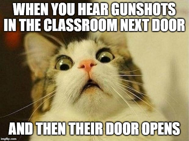 Scared Cat | WHEN YOU HEAR GUNSHOTS IN THE CLASSROOM NEXT DOOR; AND THEN THEIR DOOR OPENS | image tagged in memes,scared cat | made w/ Imgflip meme maker