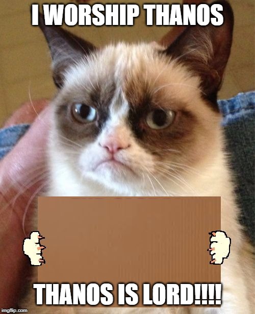 Grumpy Cat Cardboard Sign | I WORSHIP THANOS; THANOS IS LORD!!!! | image tagged in grumpy cat cardboard sign | made w/ Imgflip meme maker