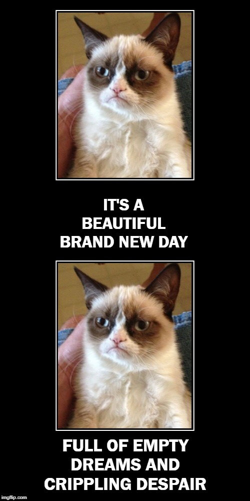 IT'S A BEAUTIFUL BRAND NEW DAY; FULL OF EMPTY DREAMS AND CRIPPLING DESPAIR | image tagged in grumpy cat,despair,suicide | made w/ Imgflip meme maker