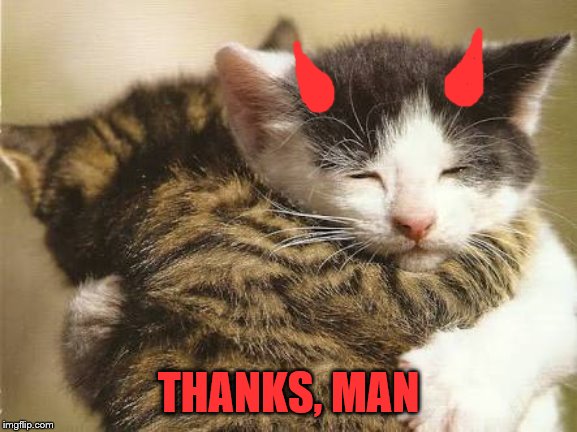 Hug cats | THANKS, MAN | image tagged in hug cats | made w/ Imgflip meme maker