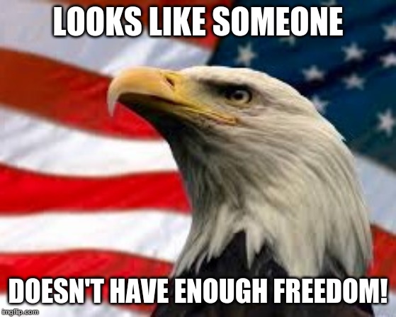 Murica Patriotic Eagle | LOOKS LIKE SOMEONE DOESN'T HAVE ENOUGH FREEDOM! | image tagged in murica patriotic eagle | made w/ Imgflip meme maker