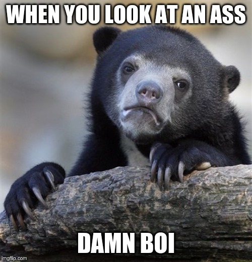 Confession Bear Meme | WHEN YOU LOOK AT AN ASS; DAMN BOI | image tagged in memes,confession bear | made w/ Imgflip meme maker