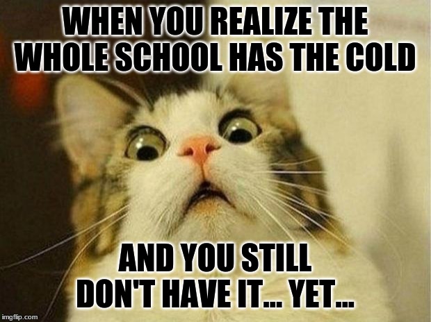 Scared Cat | WHEN YOU REALIZE THE WHOLE SCHOOL HAS THE COLD; AND YOU STILL DON'T HAVE IT... YET... | image tagged in memes,scared cat | made w/ Imgflip meme maker