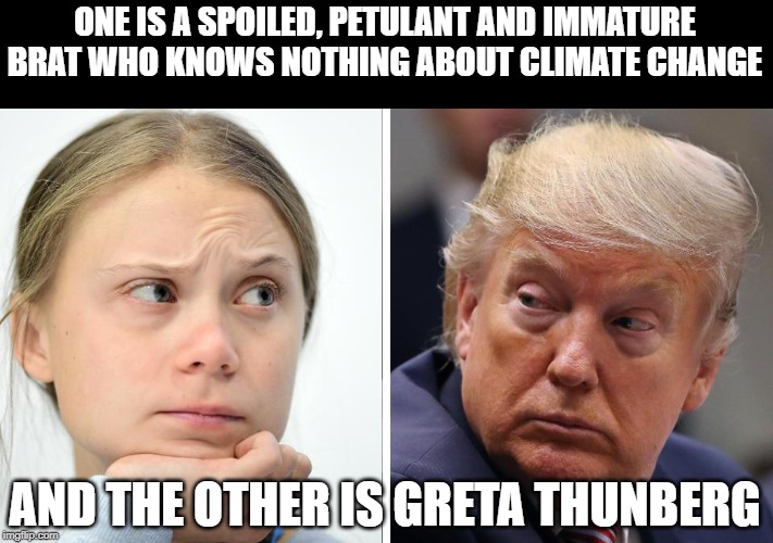 Greta Trump | ONE IS A SPOILED, PETULANT AND IMMATURE BRAT WHO KNOWS NOTHING ABOUT CLIMATE CHANGE; AND THE OTHER IS GRETA THUNBERG | image tagged in greta thunberg,donald trump | made w/ Imgflip meme maker