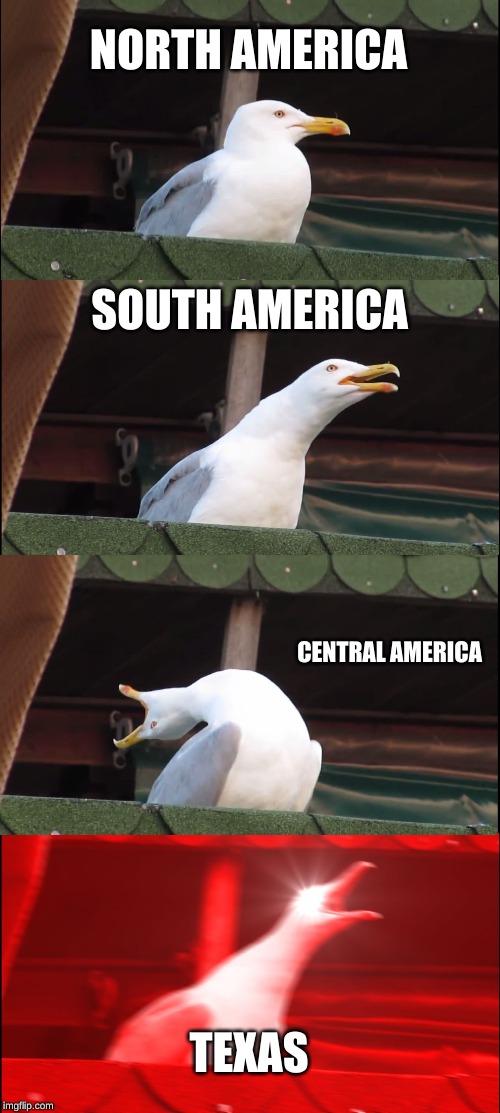 Inhaling Seagull Meme | NORTH AMERICA; SOUTH AMERICA; CENTRAL AMERICA; TEXAS | image tagged in memes,inhaling seagull | made w/ Imgflip meme maker