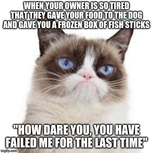 disappointed grumpy cat, | WHEN YOUR OWNER IS SO TIRED THAT THEY GAVE YOUR FOOD TO THE DOG AND GAVE YOU A FROZEN BOX OF FISH STICKS; "HOW DARE YOU, YOU HAVE FAILED ME FOR THE LAST TIME" | image tagged in grumpy cat,disappointed | made w/ Imgflip meme maker