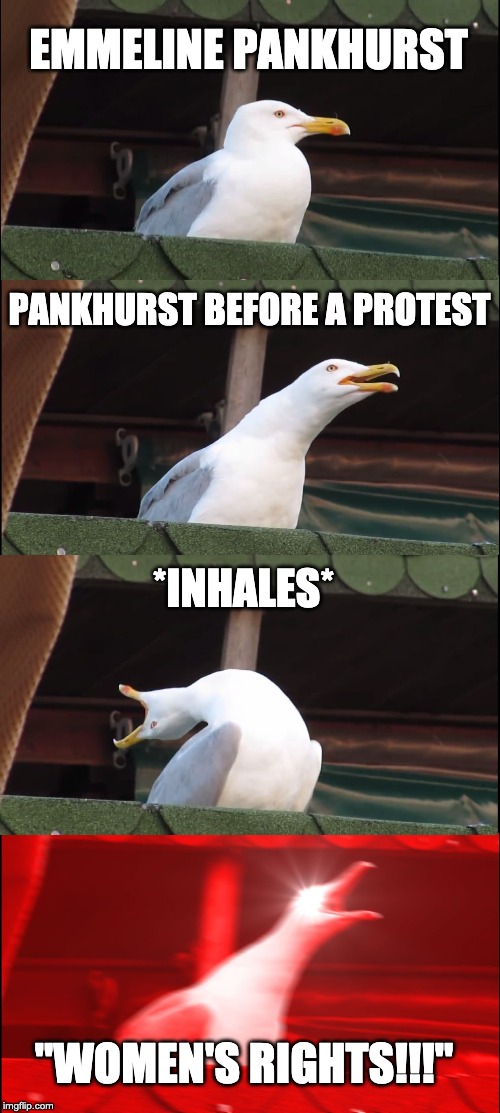 Inhaling Seagull Meme | EMMELINE PANKHURST; PANKHURST BEFORE A PROTEST; *INHALES*; "WOMEN'S RIGHTS!!!" | image tagged in memes,inhaling seagull | made w/ Imgflip meme maker