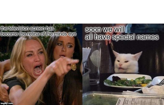 Woman Yelling At Cat | the television screen has become the retina of the minds eye; soon we will all have special names | image tagged in memes,woman yelling at cat | made w/ Imgflip meme maker