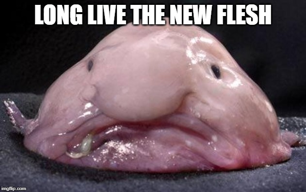 Blobfish | LONG LIVE THE NEW FLESH | image tagged in blobfish | made w/ Imgflip meme maker