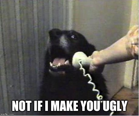 Yes this is dog | NOT IF I MAKE YOU UGLY | image tagged in yes this is dog | made w/ Imgflip meme maker