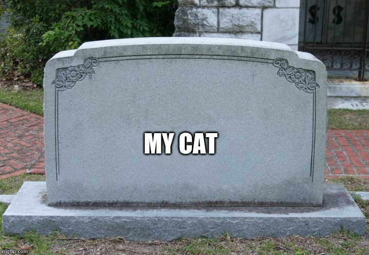 Gravestone | MY CAT | image tagged in gravestone | made w/ Imgflip meme maker