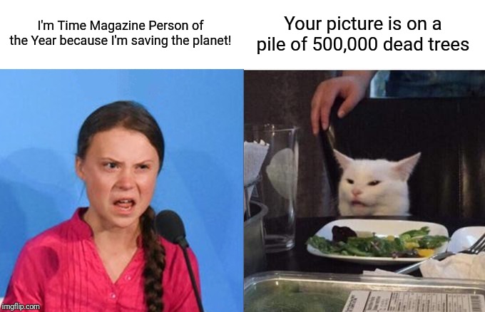 Maybe you can start a clothing line next | I'm Time Magazine Person of the Year because I'm saving the planet! Your picture is on a pile of 500,000 dead trees | image tagged in greta thunberg,hypocrisy,environment,woman yelling at cat,scam | made w/ Imgflip meme maker