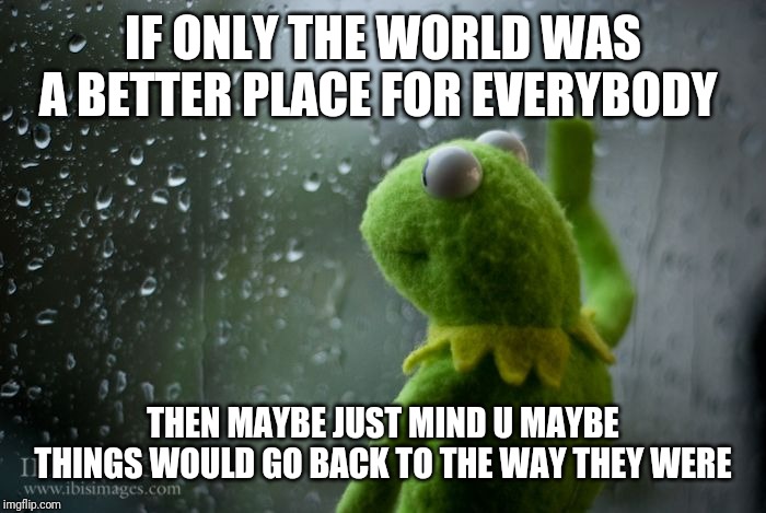 If only the world was a better place.... | IF ONLY THE WORLD WAS A BETTER PLACE FOR EVERYBODY; THEN MAYBE JUST MIND U MAYBE THINGS WOULD GO BACK TO THE WAY THEY WERE | image tagged in kermit window,memes | made w/ Imgflip meme maker