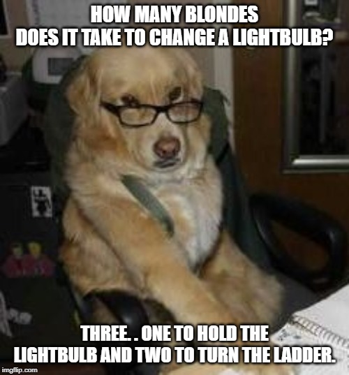 smart dog | HOW MANY BLONDES DOES IT TAKE TO CHANGE A LIGHTBULB? THREE. . ONE TO HOLD THE LIGHTBULB AND TWO TO TURN THE LADDER. | image tagged in smart dog | made w/ Imgflip meme maker