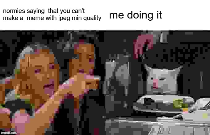 Woman Yelling At Cat | normies saying  that you can't make a  meme with jpeg min quality; me doing it | image tagged in memes,woman yelling at cat | made w/ Imgflip meme maker