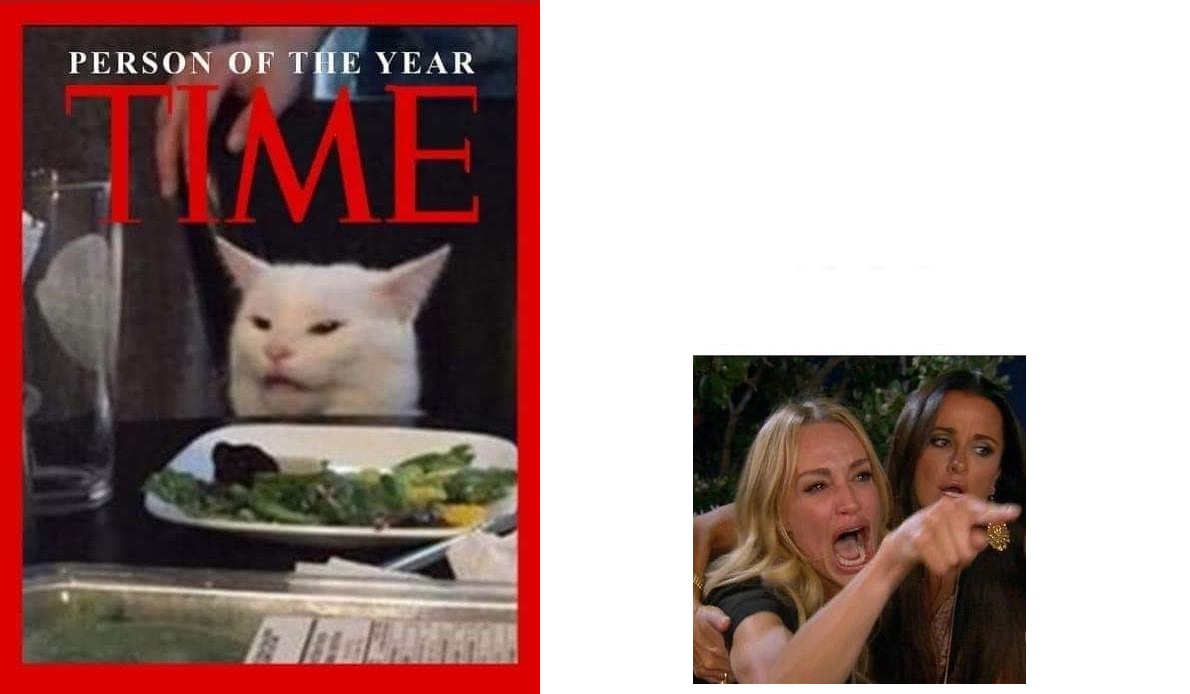 High Quality Cat Award Blank Meme Template