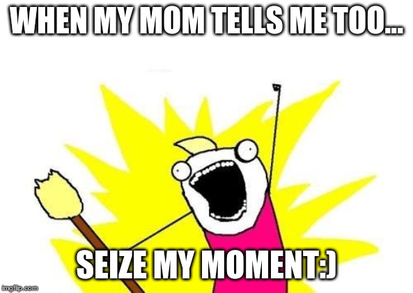X All The Y Meme | WHEN MY MOM TELLS ME TOO... SEIZE MY MOMENT:) | image tagged in memes,x all the y | made w/ Imgflip meme maker